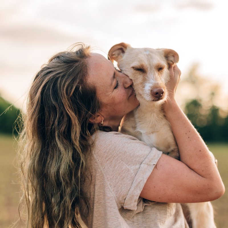 Une personne étreignant affectueusement son animal de compagnie dans un champ, illustrant le lien entre les propriétaires d’animaux et leurs animaux